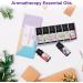 AMMIY Essential Oils Gift Set - Top 6 100% Pure Scented Oils with Gardenia, White Tea, Rose, Freesia, Ylang, Cherry Blossom - 10ml Youth Blue Set - Buy Online on GoSupps.com