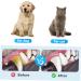 BELLIFFY 1pc Fine Fiber Plastic Cat Toothpaste Kitten Toothbrush Pet Supplies Pet Toothbrush - Buy Online on GoSupps.com