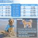 Emust Dog Chimney Reflecting & Adjustable Protective Vest - Improved Buoyancy & Rescue Handle for Swimming - 2XL New Blue - Buy Online on GoSupps.com