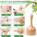 Premium Wood Fascia Roller & Massage Scooter for Muscle Relaxation | Anti-Cellulite Beech Gua Sha Tool - Buy Online on GoSupps.com