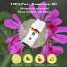 Geranium Essential Oil 10ml 100% Pure Geranium Oil for Diffuser Skin Hair Face Soap & Candle Making Aromatherapy & Massage Geranium 0.34 Fl Oz (Pack of 1) - Buy Online on GoSupps.com