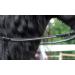 Tysons Breeches Glitter Art Rhinestone Web Reins - 2.60m Rubber Black | International Shipping - Buy Online on GoSupps.com