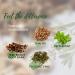 GinSen Gan Mao Qing Re Natural Immunity Booster Tea Relieves Cold Fever Flu Cough Headache Sore Throat Remedy - 10 Sachets - Buy Online on GoSupps.com