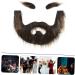 WOONEKY 1 Set Beard Dress up Man Dress up Pirate Beard Fake Beard DIY Fake Mustache Viking Costume Plush - Buy Online on GoSupps.com
