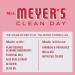Mrs. Meyer's Limited Edition Peppermint Hand Soap 12.5 fl oz - Biodegradable Formula with Essential Oils - Buy Online on GoSupps.com