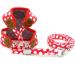 Soft Mesh Nylon Vest Pet Cat Small Medium Dog Harness Leash Set - Red Medium - Buy Online on GoSupps.com