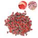 Fruit Shaped Nail Art Slices - Triangular Watermelon for DIY Crafts Resin Jewelry Lip Gloss & Phone Case - 10G Pack - Buy Online on GoSupps.com