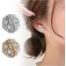 Feyley Magnetic Clip-On Earrings for Women & Girls | Round Pickled Zircon Fashionable Silver Earrings - Buy Online on GoSupps.com