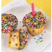 Large Happy Birthday Cupcakes Gift Basket | Rainbow & Chocolate Sprinkle | 7 Individually Wrapped Fresh Cupcakes | Party Food Gift - Buy Online on GoSupps.com