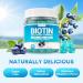 Biotin Gummies 10 000mcg with Collagen - 23-in-1 Hair Growth Gummies for Women & Men - Hair Skin and Nails Gummies with Keratin & Saw Palmetto - Sugar Free Non-GMO Blueberry 90 Count 90 Count (Pack of 1) - Buy Online on GoSupps.com