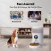 WOPET 4L Automatic Cat Feeder with Desiccant Bag - Programmable Pet Food Dispenser for Small/Medium Pets - White - Buy Online on GoSupps.com