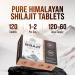 Sages Of The Ages Himalayan Shilajit Tablets Pure Gold-Grade Himalayan Extract 200 mg Each 120 Count Organic Lab-Tested Fulvic Acid for Energy Stamina & Vitality Support for Men & Women - Buy Online on GoSupps.com