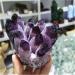 Natural Crystal Rough 1 pc 360g Purple Ghost Phantom Quartz Crystal Cluster Specimen - Buy Online on GoSupps.com