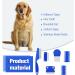 Flea Comb for Cat Dog - Set of 6 Metal Fine Teeth Combs for Grooming and Hair Tangles Removal - Buy Online on GoSupps.com