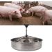 Buy Large Piglet Feeding Trough | Durable Pig Feeder Bowl & Food Tray for Sow Milk Feeding - Ideal for Livestock - Buy Online on GoSupps.com