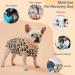 Buy Kuoser Dog & Cat Recovery Bodysuit - Breathable Post-Op Body for Male Dogs Anti-Licking E-Collar Alternative in XS Dark Brown - International Shipping Available - Buy Online on GoSupps.com