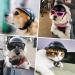 Namsan Adjustable Pet Helmet for Dogs & Cats | Black Motorcycle & Bicycle Helmet Cap for Small Dogs - Buy Online on GoSupps.com