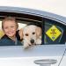2 Pack Baby On Board Car Signs | 12cm x 12cm Safety Stickers with Suction Cups | Durable Reusable Child Warning for Car Windows - Buy Online on GoSupps.com