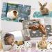 6 Pack Guinea Pig Cage Liners Absorbent Reusable Washable Guinea Pig Pee Pads Waterproof Bunny Hamster Bedding Puppy Kitten Whelping Box Mats for Cat Small Animal Dog 3 Styles (14 x 28 Inch) - Buy Online on GoSupps.com