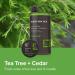 Every Man Jack 2-in-1 Tea Tree + Cedar Shampoo + Conditioner - Thickens, Cleanses, and Hydrates Hair - 24oz Bottle - Buy Online on GoSupps.com