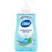 Dial Antibacterial Liquid Hand Soap Spring Water 11 Fl Oz 11 Fl Oz (Pack of 1)