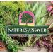 Natura's Answer PerioBrite Dentifrice naturel Charbon de bois Menthe poivr e 113 4 g - Buy Online on GoSupps.com