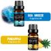 Organic Holiday Breeze Scent Gift Set - 6pc Essential Oils for Candle Making, Soap, Slime - Aromatherapy & Car Freshener - 10mL, 6-Pack - Buy Online on GoSupps.com