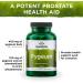Swanson Pygeum Herbal Supplement for Men's Health (240 Capsules Total, 400 mg) - 2 Pack - Buy Online on GoSupps.com