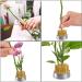 YOUEON 4-Piece Flower Frog Set - Japanese Flower Arranger Tools for Floral Arrangement and Plant Decoration - Buy Online on GoSupps.com