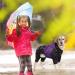 OUOBOB Waterproof Dog Raincoat for Large Dogs - Lightweight Adjustable 4 Legs Pet Poncho with Hood - Snow-Proof Dog Vest Rainwear - Large Purple - Buy Online on GoSupps.com