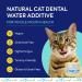 Protektin30 Plant-Derived Dental Water Additive for Cats Daily Dental Care Clinically-Proven Formula Naturally Fights Plaque and Tartar Dental Kit with 30 Servings Dental Kit (30 Servings) - Buy Online on GoSupps.com