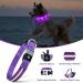 Masbrill LED Luminous Dog Collar - Waterproof Illuminated Safety with 3 Flashing Lights for Small Medium & Large Dogs - Purple XS (25-35cm) - Buy Online on GoSupps.com