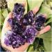 Crystal Rough Natural Crystal Rough 70-80g Natural Amethyst Crystal Cluster Quartz Ra CrystalsStone Decoration Ornament Purple Feng Shui Stone Ore (Size : 3pc) - Buy Online on GoSupps.com