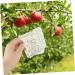 OFFSCH Apples Growth Mold 2pcs Square Apple Molds Fruit Growth Shaping Accessories Fruit Mold Fruit Shaper Melon Stereotypes - Buy Online on GoSupps.com