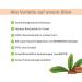 purSHEA - Organic Shea Butter - 100% Natural - Velvety Soft Consistency - Rich Skin Care in Organic Quality - Plastic-Free - 250 ml (Orange) - Buy Online on GoSupps.com