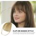 Bang Clip in Hair Extensions - French Bangs Clip on Fake Bangs Fringe Clip on Air Bangs | Neat Bangs Hair Extension Natural Color Fringe Hairpieces Hair Bangs for Daily Wear Wig Accessoriess gray gold - Buy Online on GoSupps.com