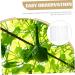Yardwe 4pcs Shaped Fruit Vegetable Shaping Shaper Small Fruit Multifunction - Buy Online on GoSupps.com