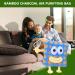 ZasDVN Odor Absorber - Cute Cartoon Activated Carbon Air Freshener for Coal Bags Shoes & Home - Effective & Odorless - Buy Online on GoSupps.com