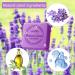  Zimoer Lavender Soap Natural Soap with Essential Oils 2 Pcs Moisturizing Hand Soap Solid Soap 100g for Hair Face Body Handmade Soap for Bathroom Wash - Buy Online on GoSupps.com