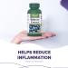 VORST Bilberry Supplement 8000mg Raw Equivalent (80mg 100:1 Extract) 90 Capsules | Eye Antioxidant Circulation Enhancer & Inflammation Reducer | Non Gmo Wild European Blueberry | Powder Pills | 1 Bottle 90 count (Pack of 1) - Buy Online on GoSupps.com