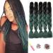 Showjarlly jumbo braid art hair hair ombre braid extension 24 inch KanCalon hair braid extensions 5 pieces for crochet twist lichen hair box braid for braid 61cm-24 inch (5 pack) black/dark green