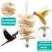 BrilliantDay 8-Piece Parrot Toys Set - Wooden Swing Seat & Platform for Parrots Love Birds & Nymphensittisch - Perfect Bird Enrichment - Buy Online on GoSupps.com