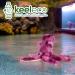 Deluxe Paws Plush Octopus Toy - Eco-Friendly & Soft | 100% Recycled Materials - Buy Online on GoSupps.com