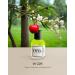 EYFEL Perfumes for Women W229 INSPIRED BY GOOD GIRL Eau de Parfum Spray Women's Fragrances EDP 50 ml / 1.76 FL. OZ. - Buy Online on GoSupps.com