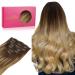 WhenALIFE CLIP in Extensions Real hair 35cm 14 inches 120g 7Pcs Balayage chocolate brown up to dirty blonde hair extensions clip in real hair remy clip in hair extension natural real hair extensions 35cm-12/18 balayage chocolate brown up to dirty blonde