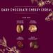Wilde Terra Dark Chocolate Cherry Cereal - 15 oz | Delicious Breakfast Option - Buy Online on GoSupps.com