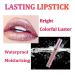 Metallic Satin Liquid Lipstick for Women - Long-Lasting, Moisturizing, Waterproof Formula - 24-Hour Colorful Wear (06) - Buy Online on GoSupps.com