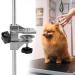 Pince de table pratique en alliage d'aluminium Soins des animaux de compagnie Pince de table pour un entretien s r et stable Salon de compagnie Usage domestique - Buy Online on GoSupps.com