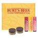 Burt's Bees Lip Care & Color Gifts Kit - Original Beeswax Moisturizing Lip Balm Hibiscus & Red Dahlia Tinted Stain + Balm Duos Conditioning Scrub & Overnight Sleeping Mask Exfoliator