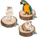 Bird Perches Stand Toy 9 PCS - Natural Wood Bird Cage Branches for Parakeets, Cockatiels, Conures, Macaws - Platform Accessories for Finches, Love Birds - Buy Online on GoSupps.com